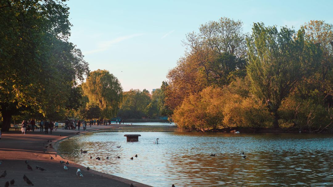 Regent's Park